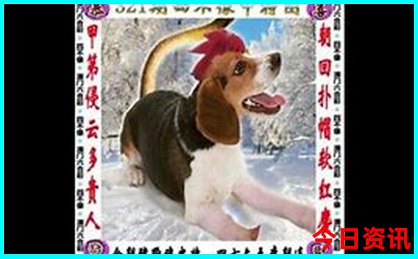 澳门一码一码100平台安全吗